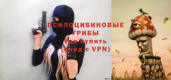 гидропоника Алзамай