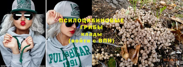 гидропоника Алзамай