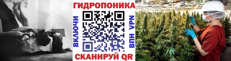 магазин  наркотиков  Калининск  Каннабис марихуана 